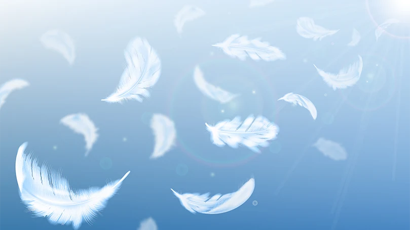 et billede af andefjer, der flyver
