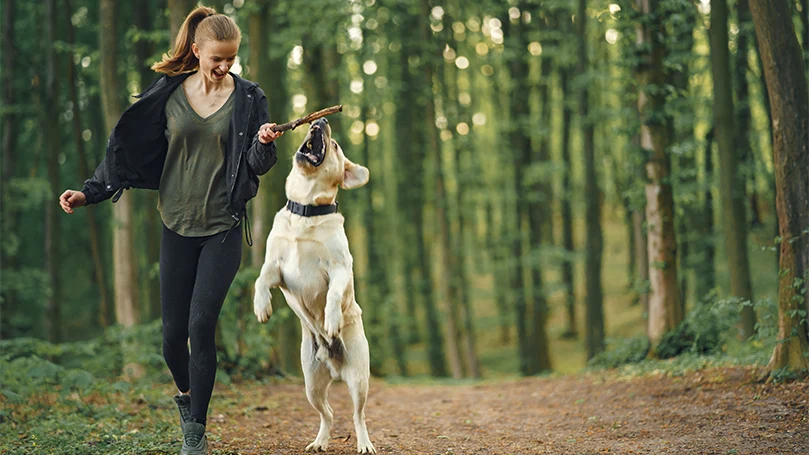 et billede af en kvinde, der leger med en hund