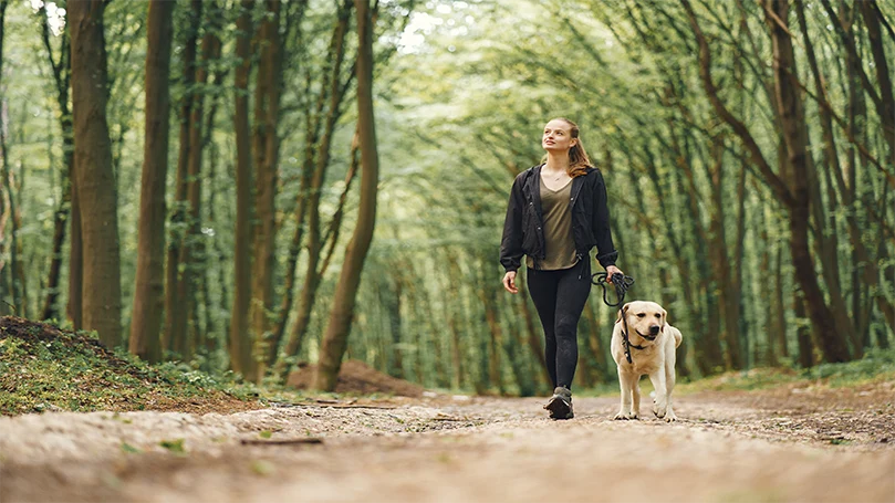 Et billede af en kvinde, der vågner med sin hund i skoven.