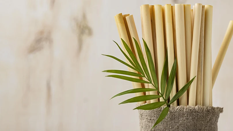 Et bambusblad.