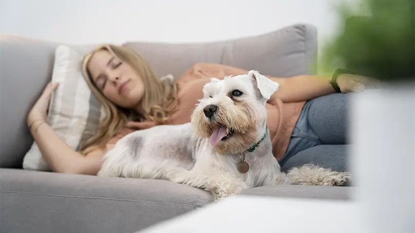 Et billede af en kvinde, der sover med en hund på en sofa.