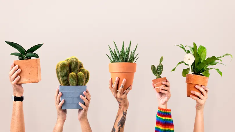 Et billede af mennesker, der holder potter med planter op i luften.