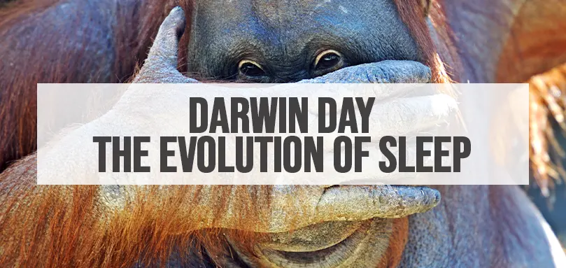 Udvalgt billede til Darwin-dag - Søvnens evolution